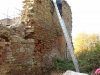 DSCN1336w