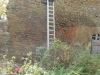 DSCN1337w
