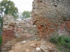 DSCN1102w