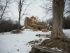 DSCN5438w