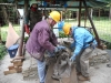DSCN0792_w.jpg