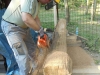 DSCN0855_w.jpg