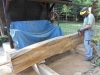DSCN0857_w.jpg