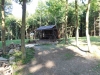 DSCN0868_w.jpg