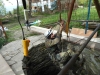 DSCN0587_w.jpg