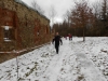 DSCN0324_w