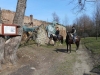 DSCN0496_w.jpg