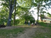 DSCN0660_w.jpg