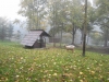 DSCN1107w