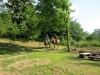 IMG_4385_w.jpg