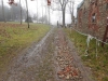 DSCN1661w