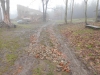 DSCN1662w
