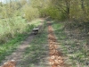 DSCN2155w