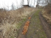 DSCN3484w