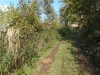 DSCN4533w
