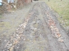 DSCN5002w