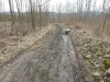 DSCN5571w