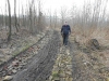 DSCN5597w