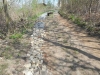 DSCN5962w
