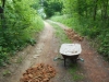 DSCN6243w