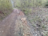 IMG_20230502_105712_0