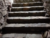 IMG-20191109-WA0009
