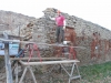 DSCN1431w