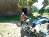 DSCN6439w