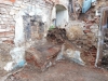 DSCN0100_w