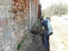 DSCN5946w