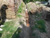 DSCN6086w