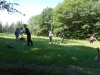 DSCN6202w