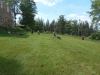 DSCN6206w