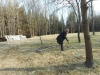 DSCN5684w