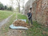 DSCN7457w