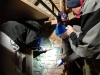 20190323w