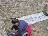 IMG-20250329-WA0008