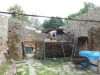 DSCN3993w